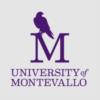 University of Montevallo Logo