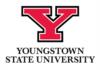 Youngstown State University's logo: large red 'y' above 'youngstown state university' in black text