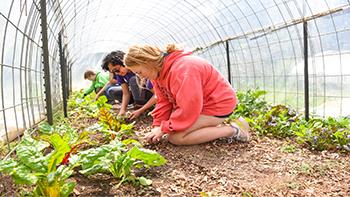students gardening in greenhouse