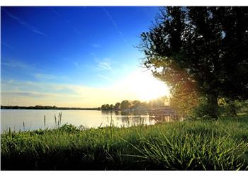 sunset over a serene lake with trees