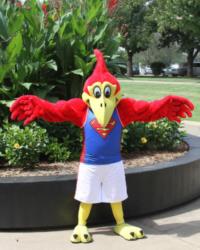 Coffeyville Community College mascot