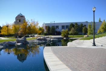 tree-lined walkway beside a reflective pond on campus