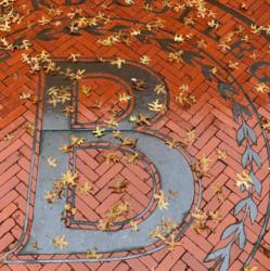close-up of brick pavement with 'barnard' and fallen leaves