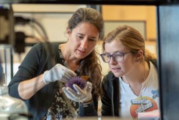 Two women closely examining an item for research work.