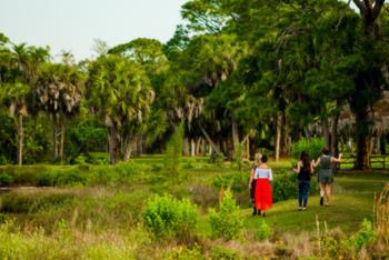 students walking through lush campus vegetation