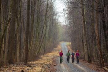 people walking on forest trail